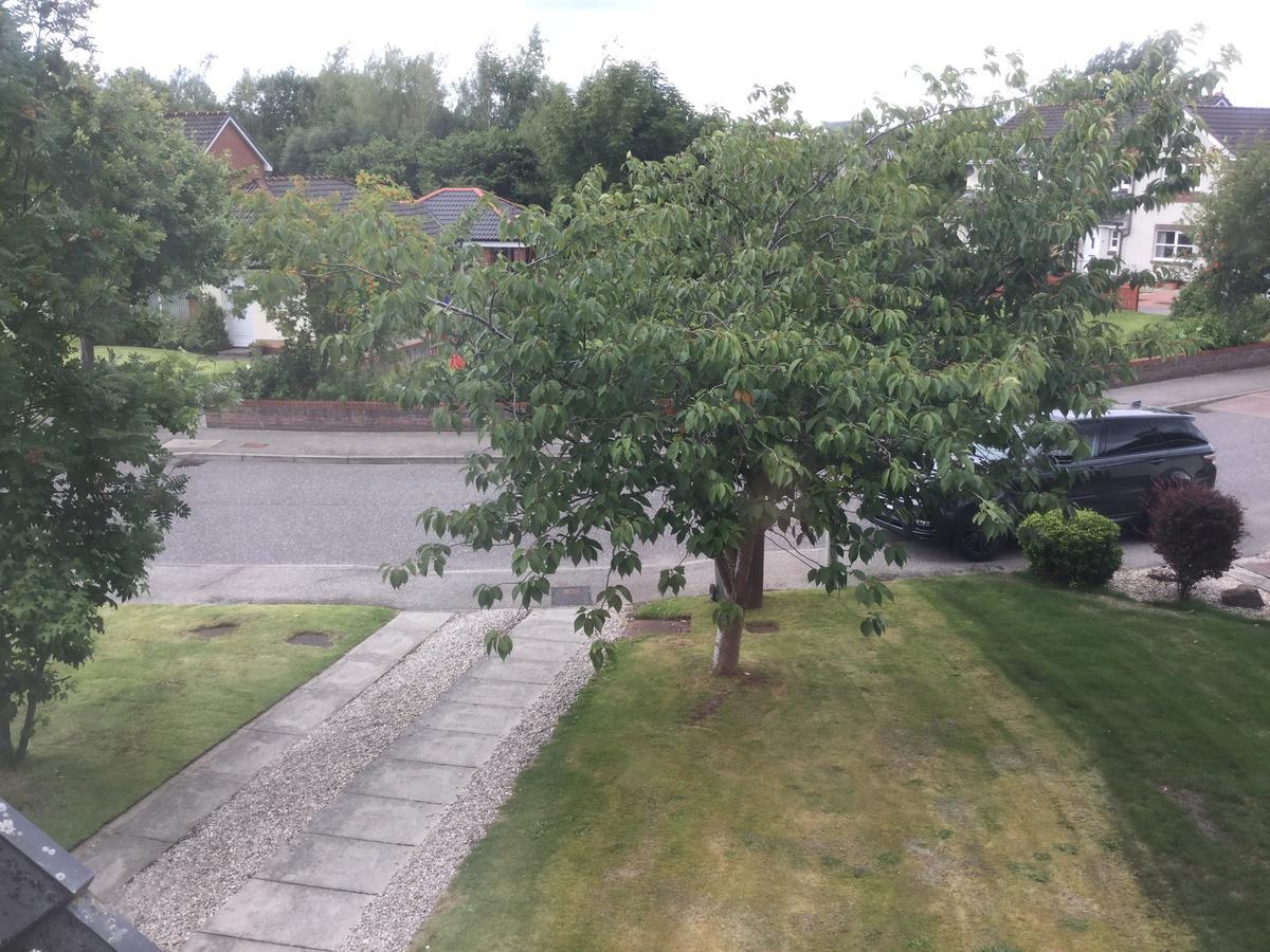 Castle Heather House Free Parking Inverness Luaran gambar